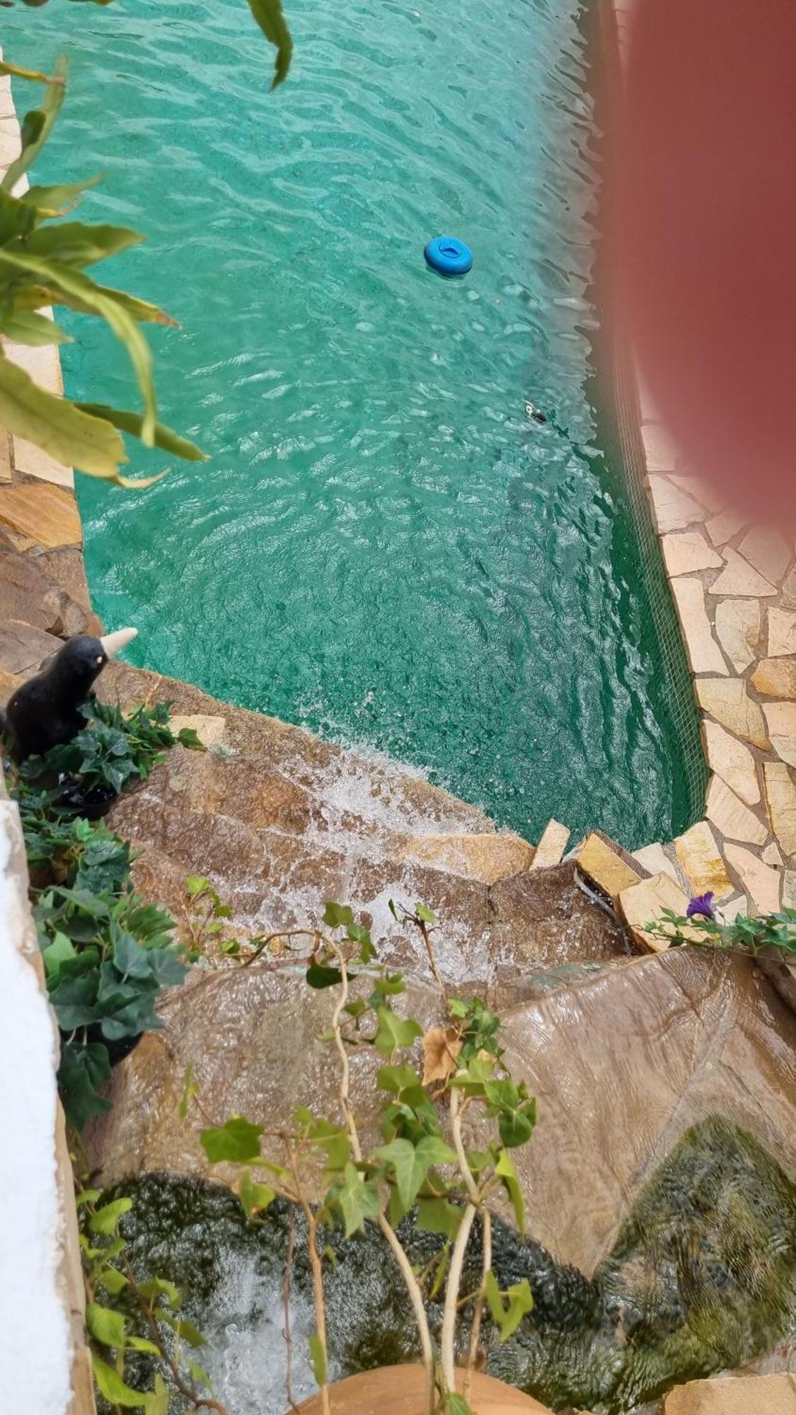 Ferienwohnung La Buena Vida. Málaga Exterior foto